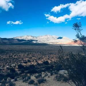 Meet your Posher, Ben